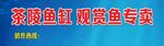 茶陵鱼缸观赏鱼专卖店