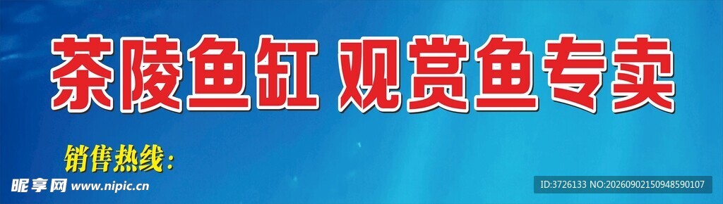 茶陵鱼缸观赏鱼专卖店