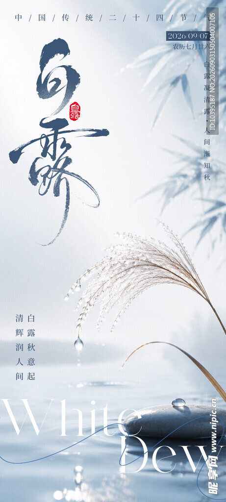 水墨白露意境海报