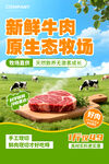 新鲜牛肉源自生态牧场