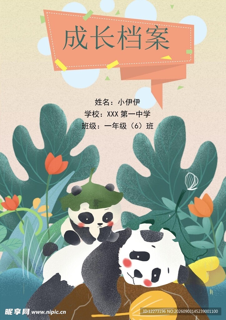 熊猫成长档案插画