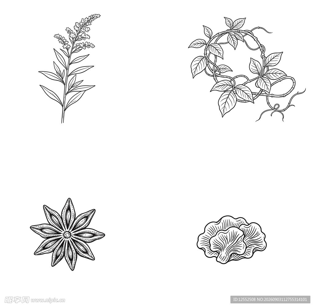 手绘植物花卉图案集合