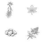 植物与矿石素材集合