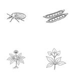 昆虫与植物图标集