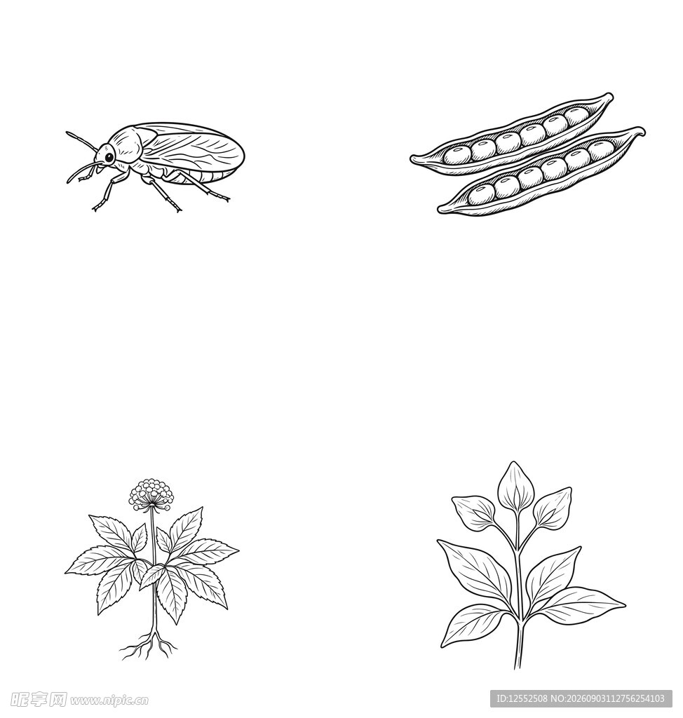 昆虫与植物图标集