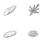 四种植物形态简笔画