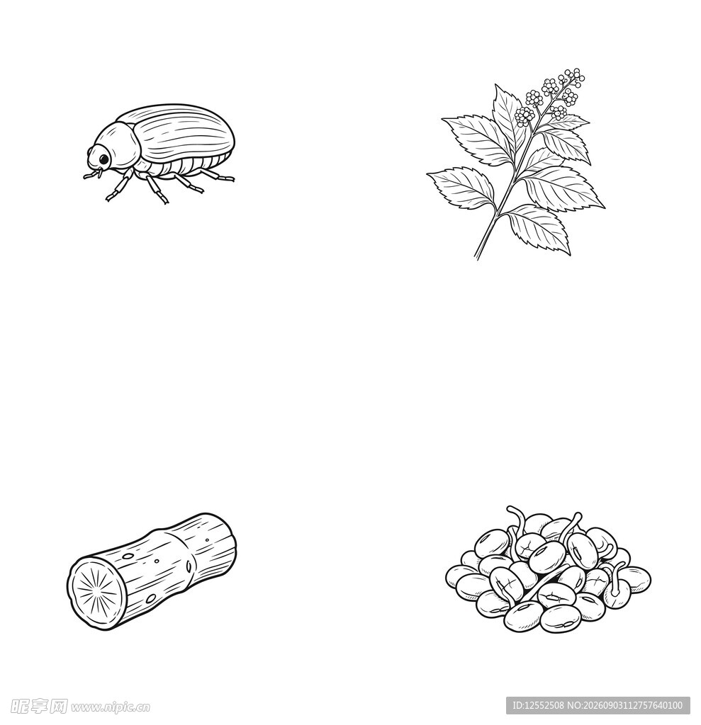昆虫植物等自然元素图标
