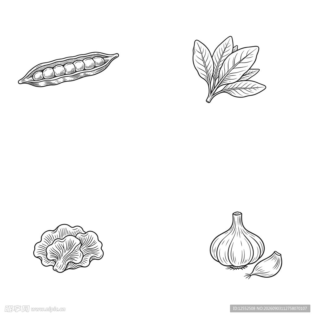 手绘蔬菜图标集合