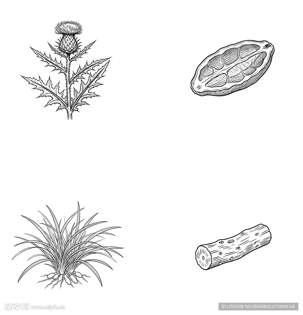 植物简笔画集合