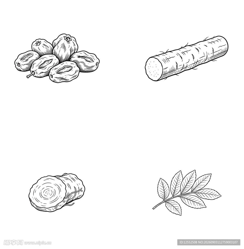 常见中药材简笔画集合