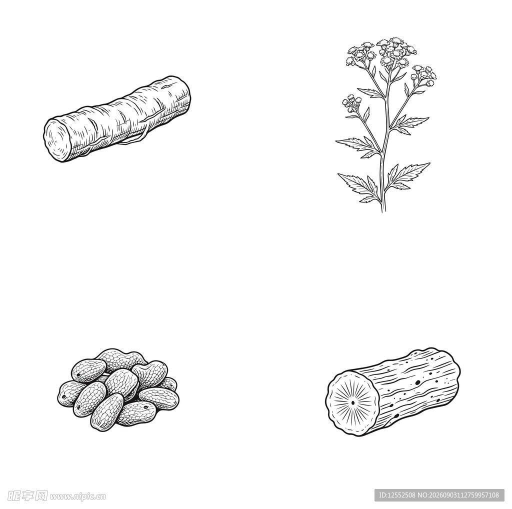 植物与木材相关素材集合