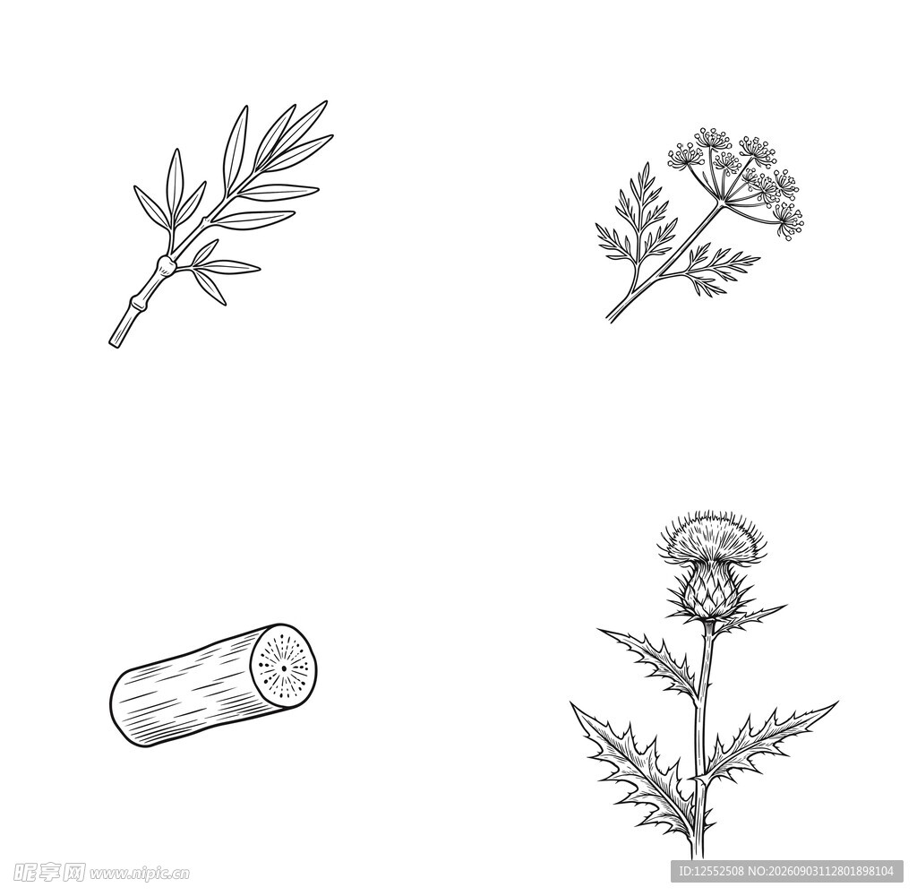 药用植物简笔画集合