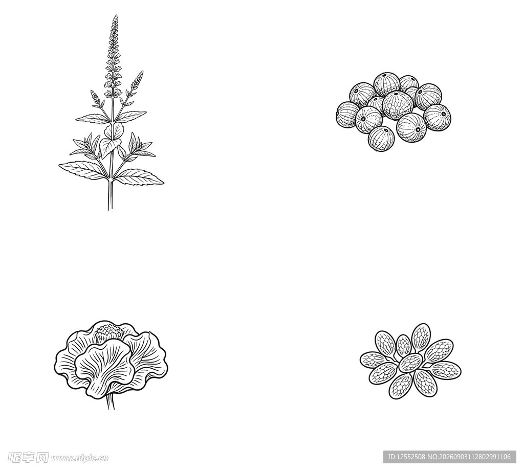 手绘植物图案集合