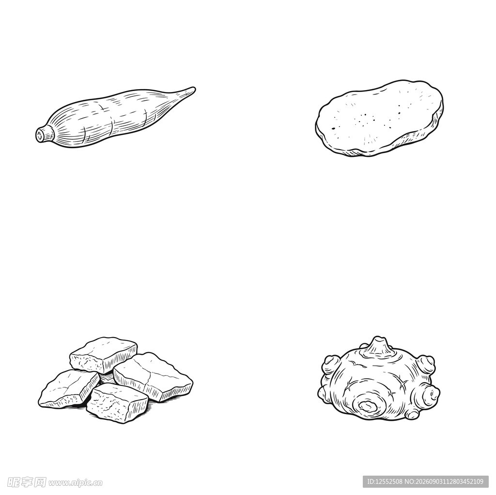根茎类蔬菜简笔画集合