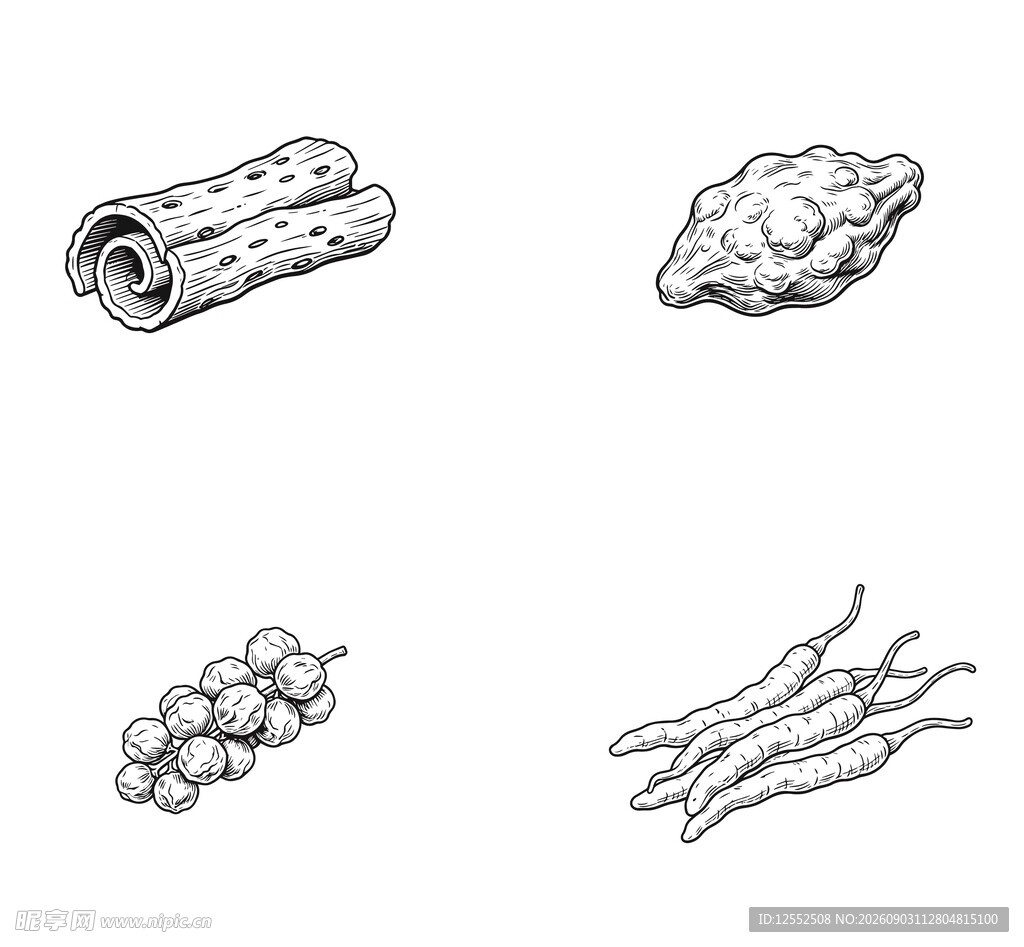 四种中药材简笔画展示