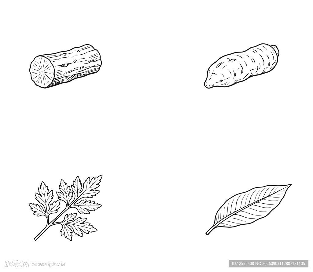 植物部件简笔画