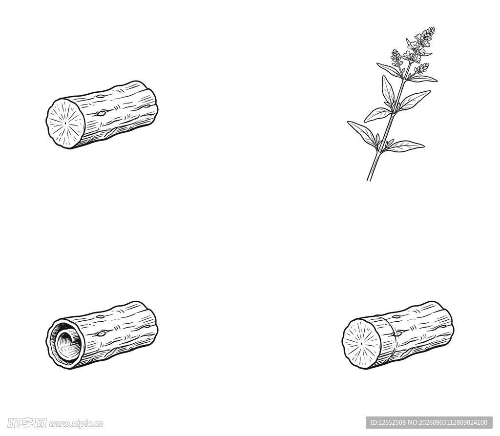 原木与植物手绘图案素材
