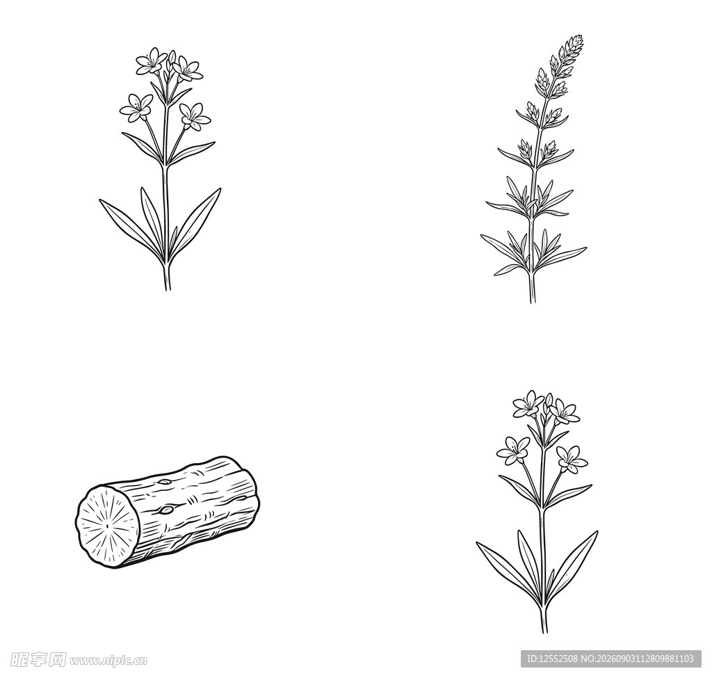 植物与木材手绘素材