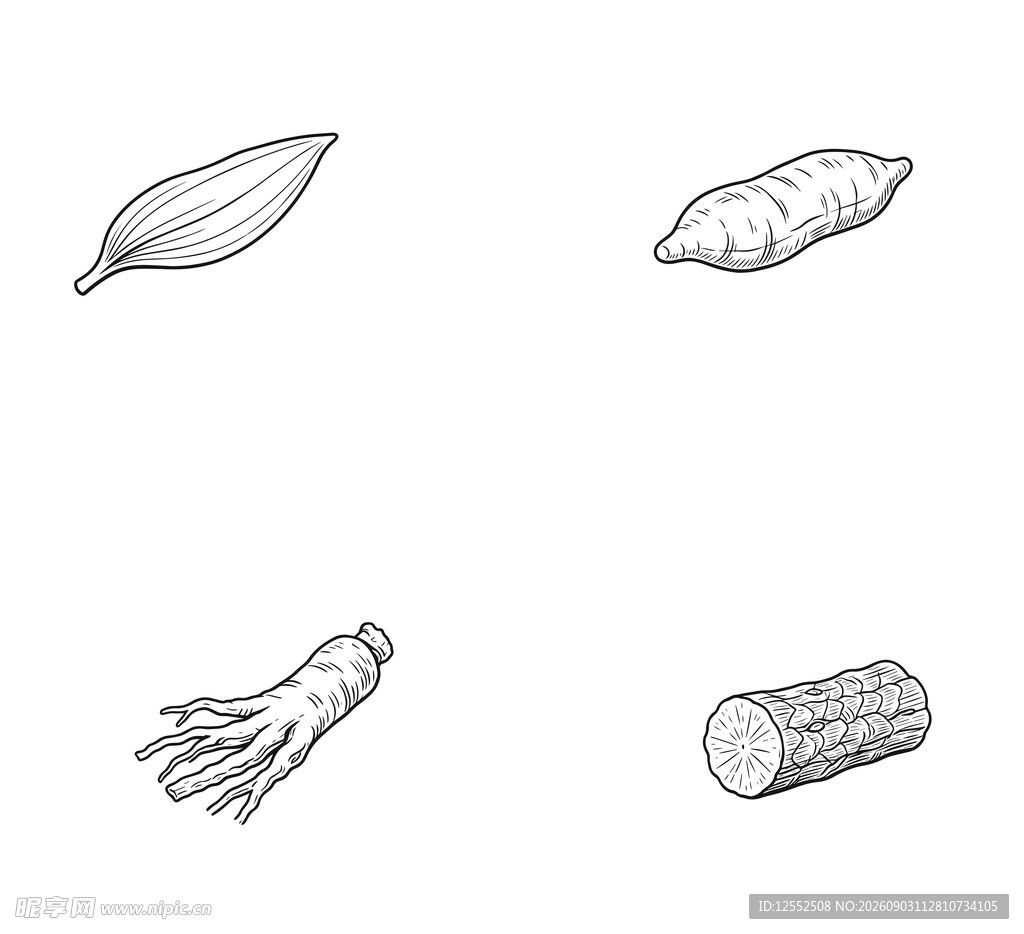 手绘根茎类蔬菜简笔画