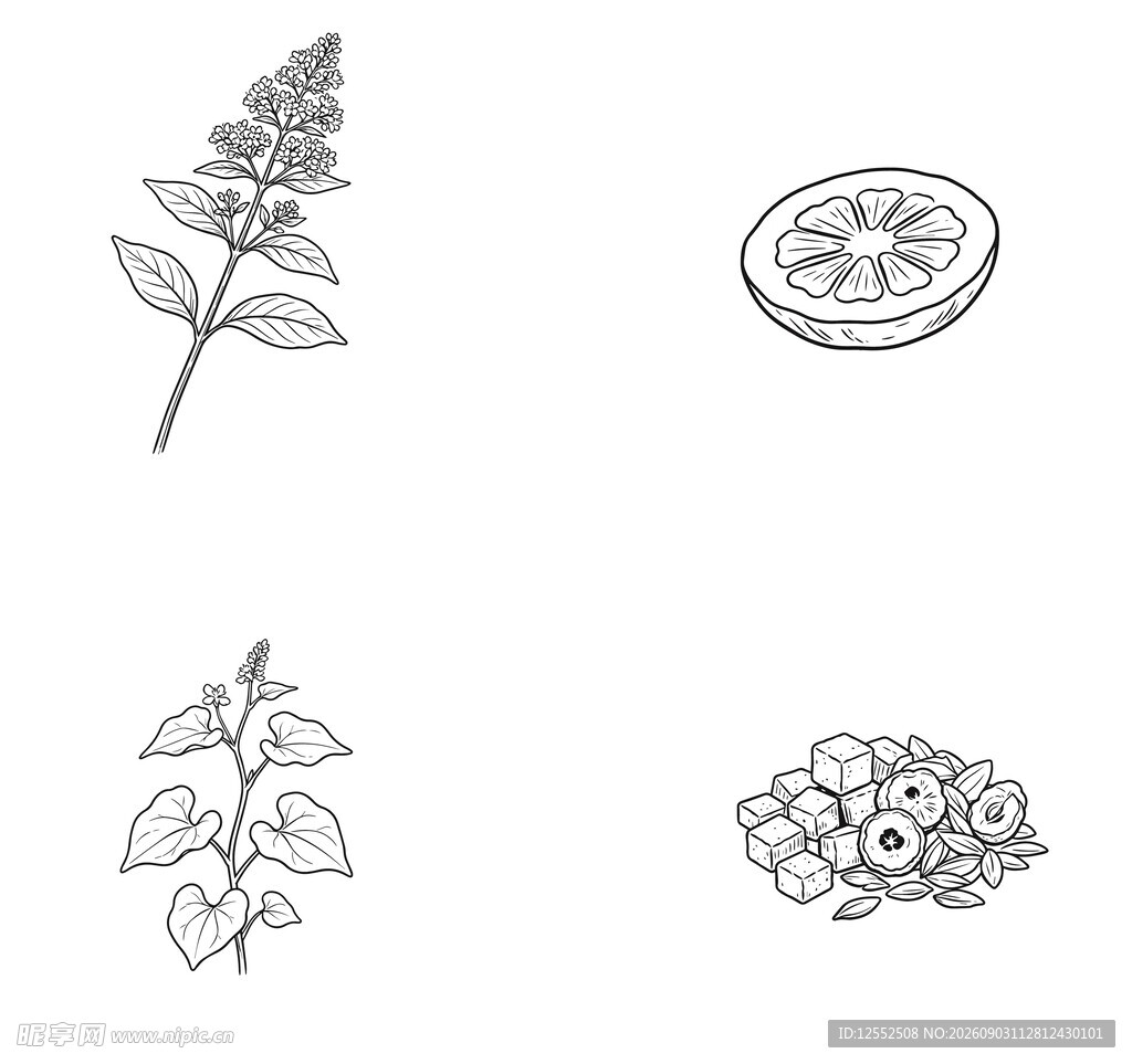 草本植物图标集