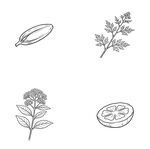 植物元素轮廓图标集