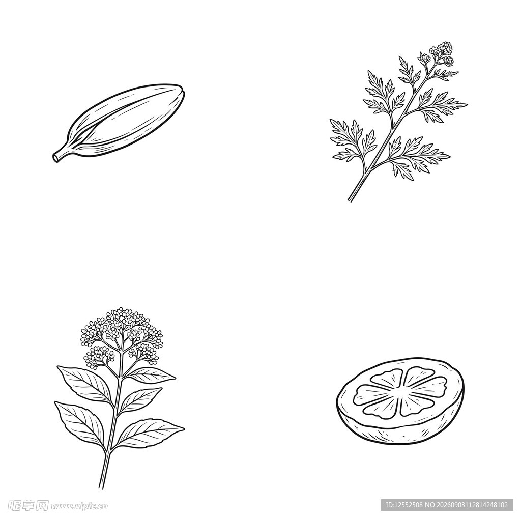 植物元素轮廓图标集