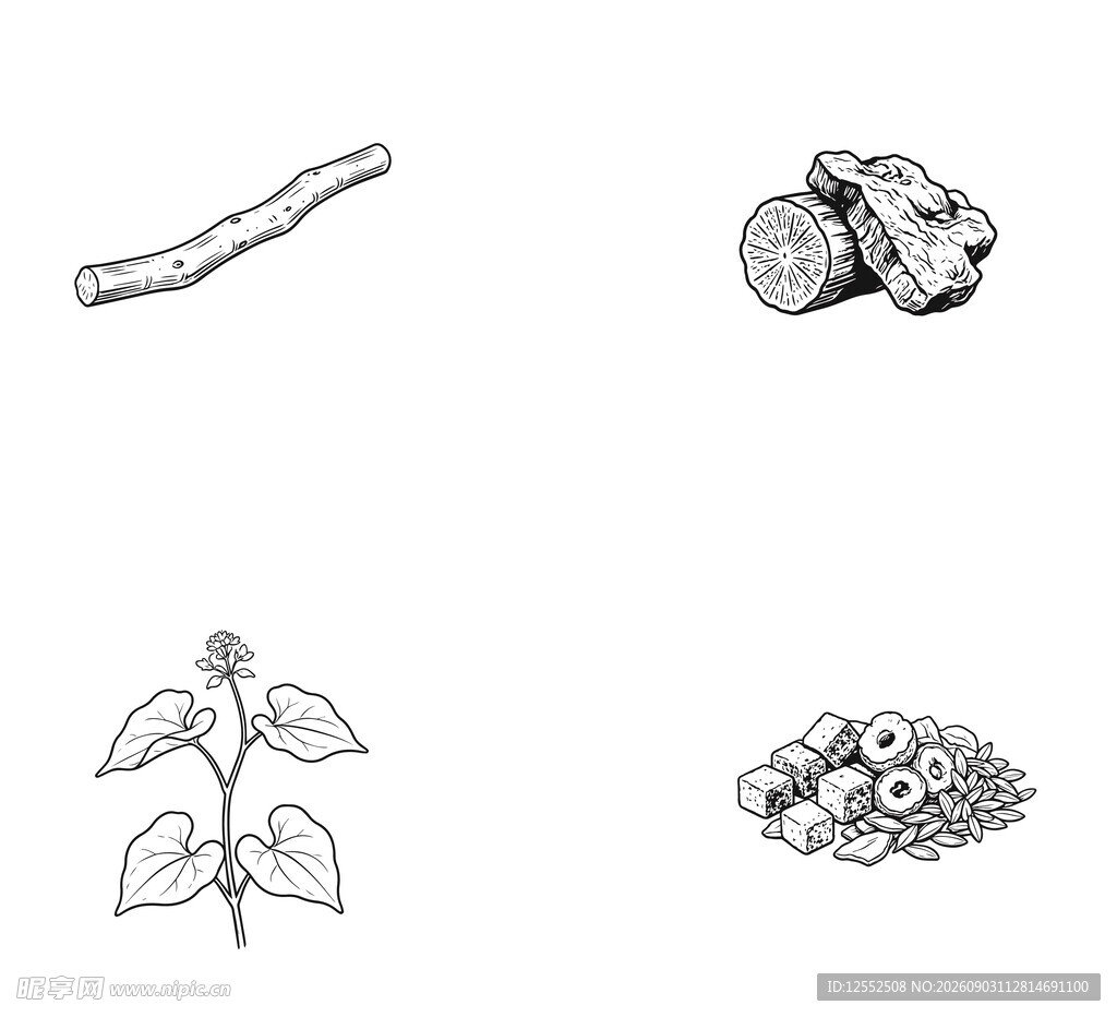 四种植物形态简笔画