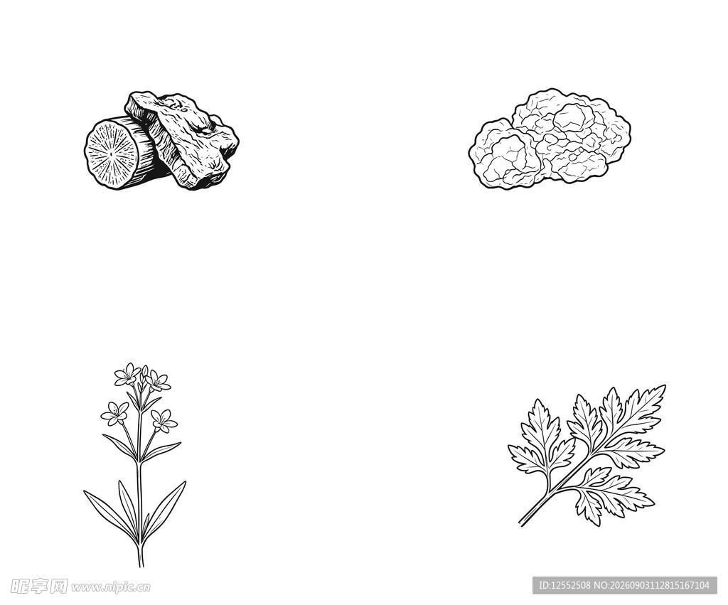 植物及果实图标集合