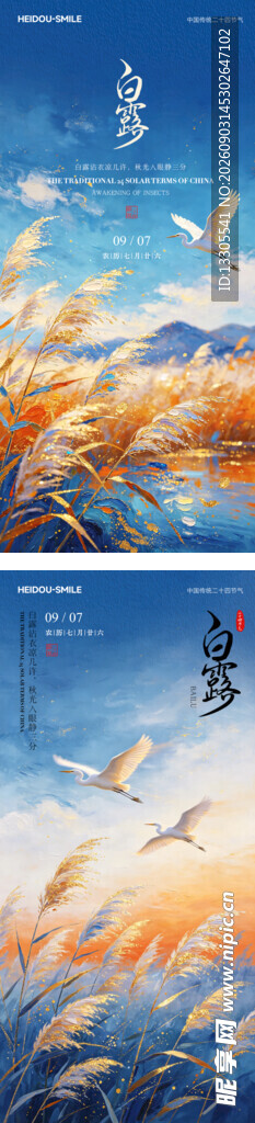 白露节气海报