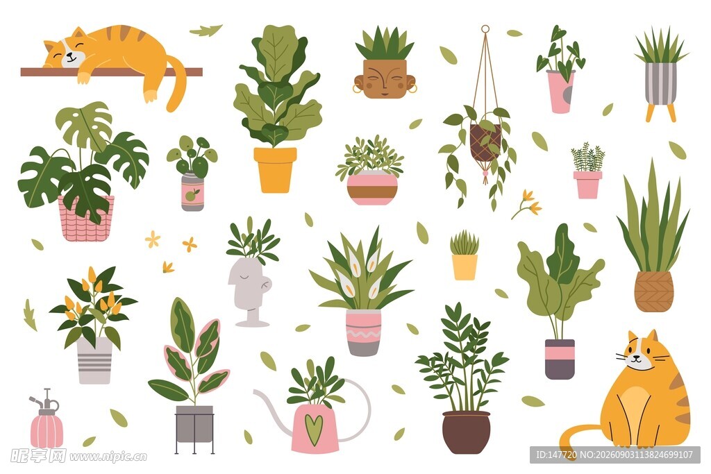 绿植猫咪素材