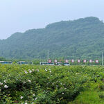 田园山间美景