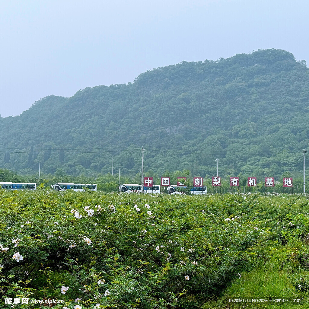 田园山间美景