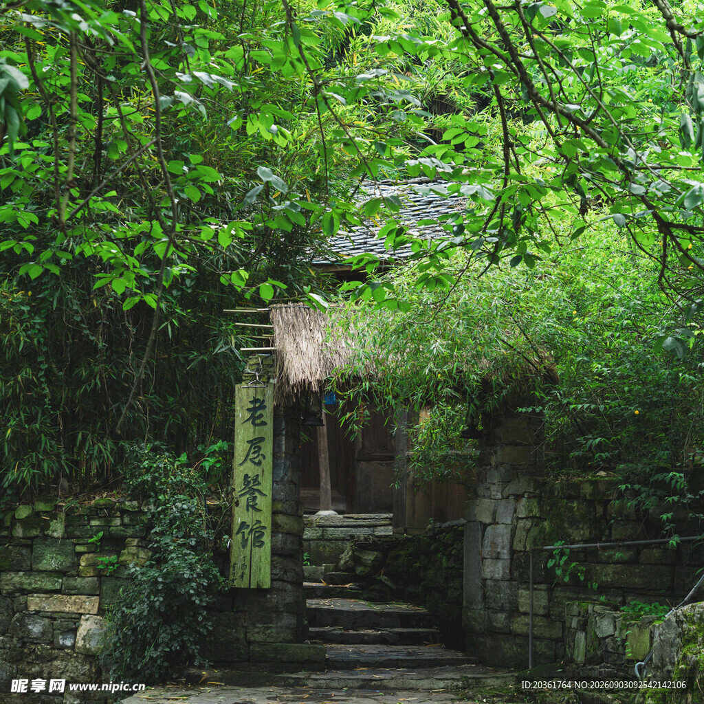 绿荫环绕的静谧石砌小径