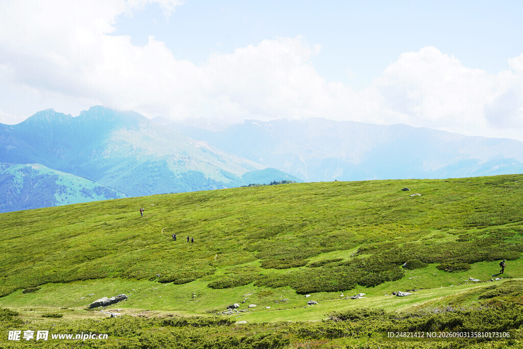 翠绿山坡与远山美景