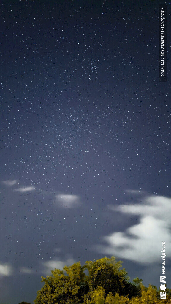 夜空下的树木与云朵