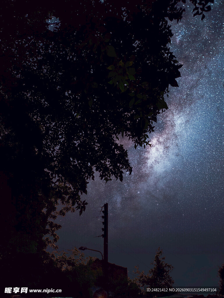 夜空下的树梢与璀璨星河