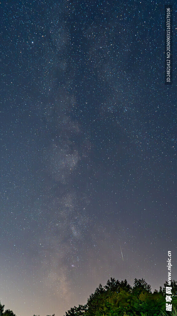 夜空下的树林与璀璨星河