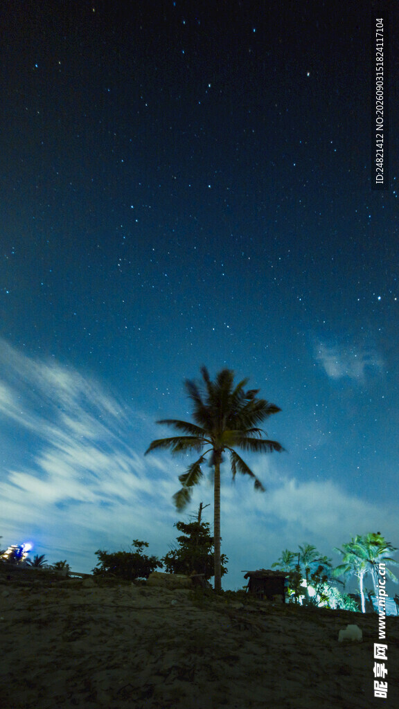 夜空下的孤独棕榈树