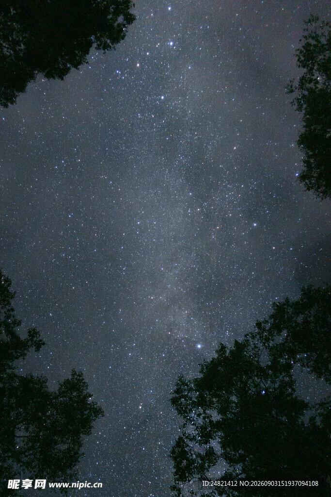 夜空下的森林与璀璨星河