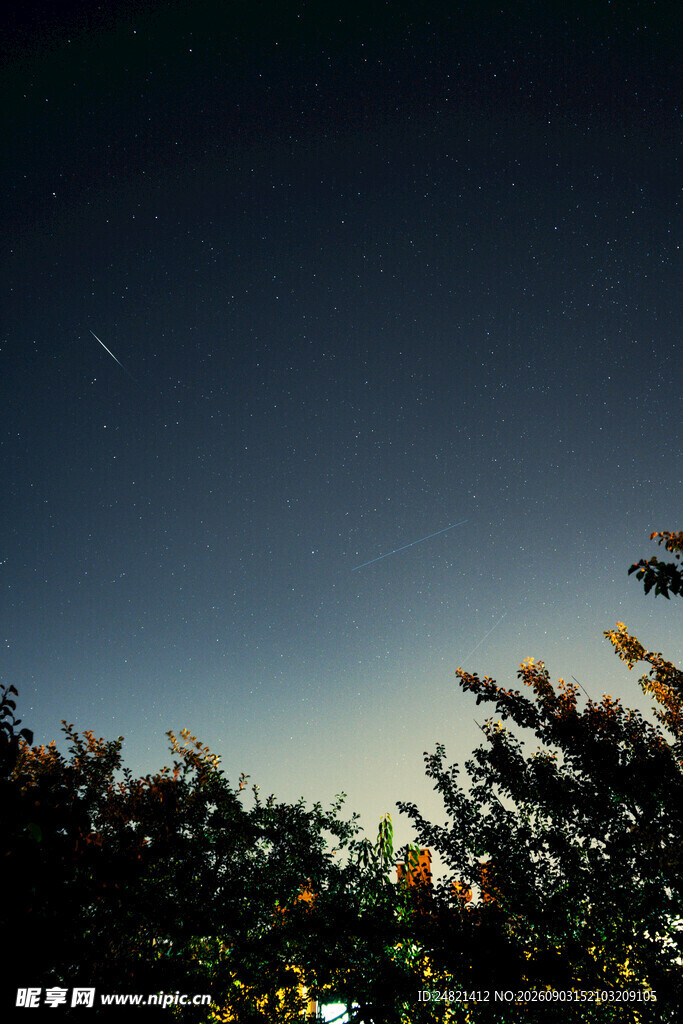 夜空下的树梢与朦胧月色