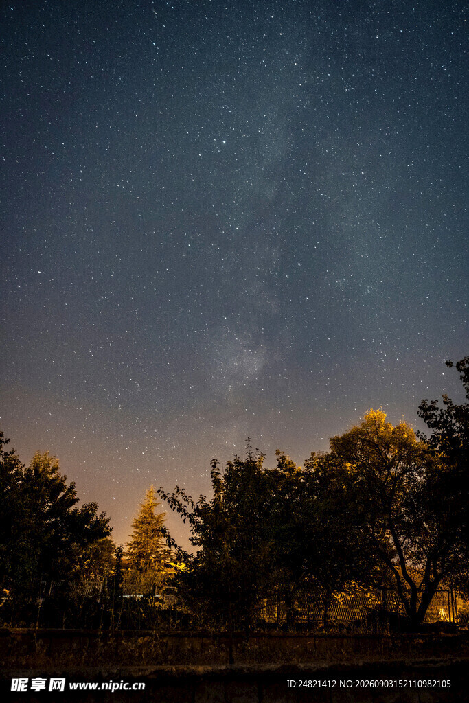 夜幕下的树林与璀璨星空