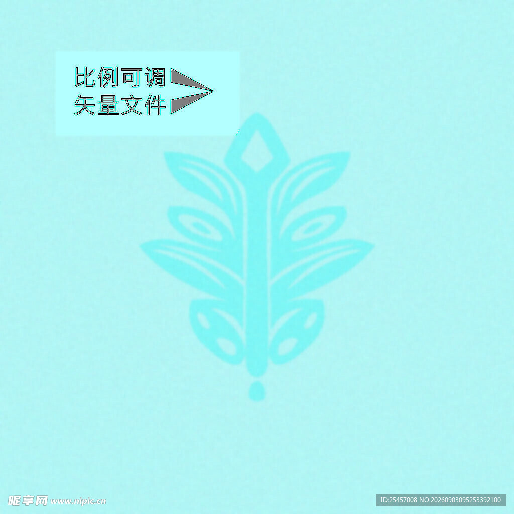 装饰植物