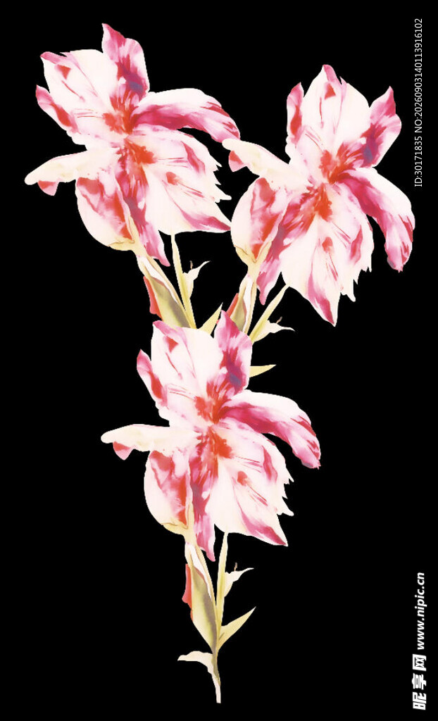 数码印花