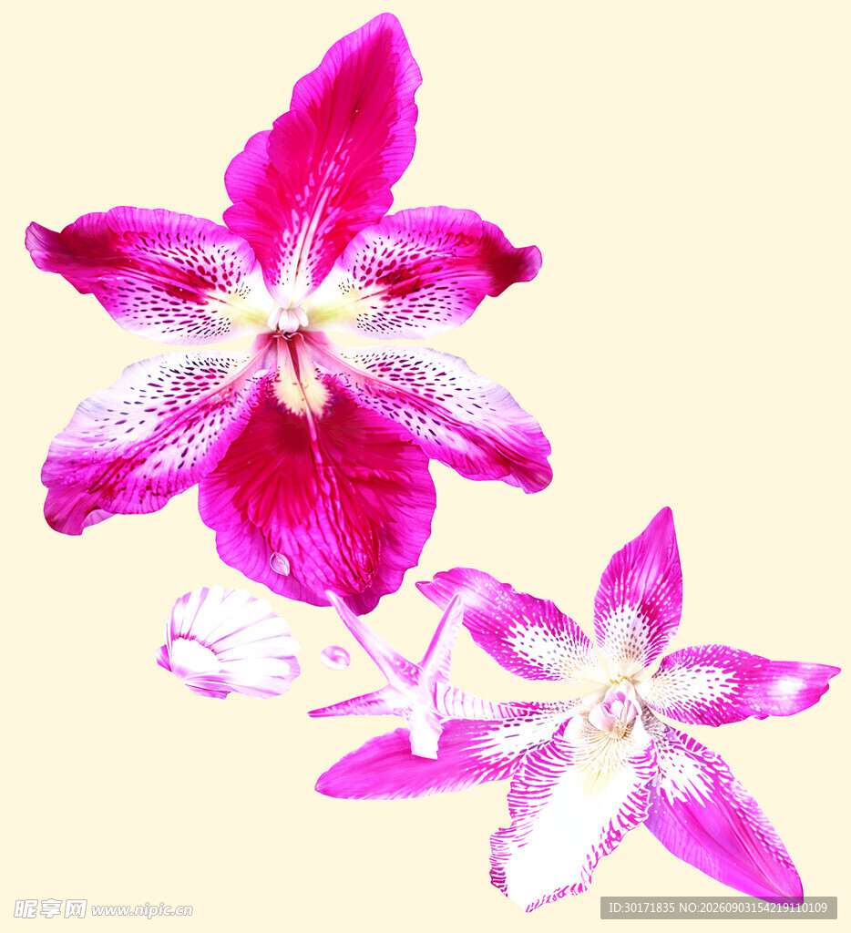 数码印花