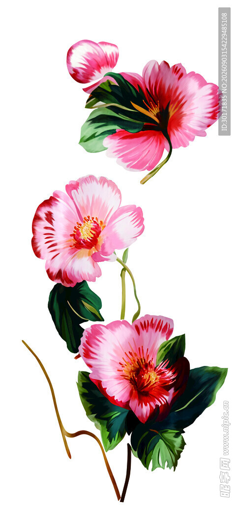 数码印花