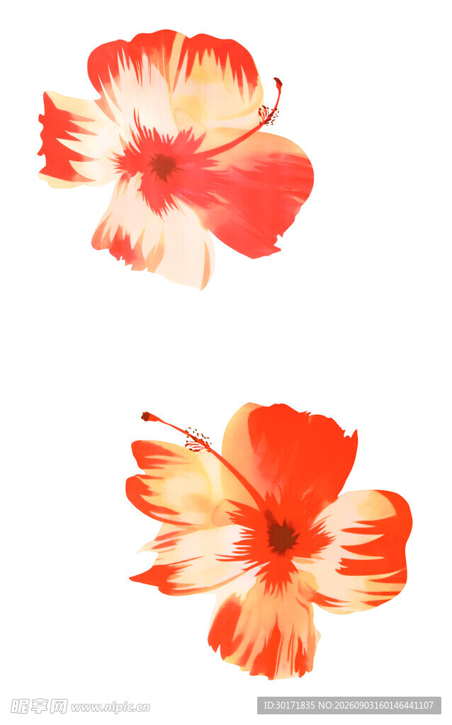数码印花