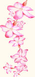 数码印花