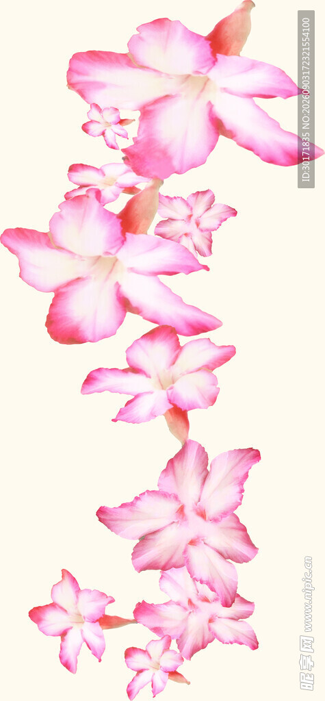 数码印花