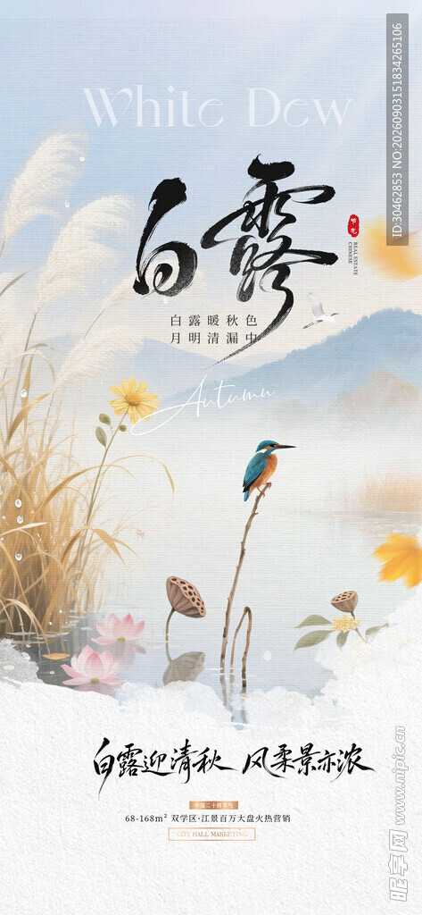 白露时节唯美海报
