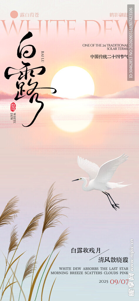白露夕阳下飞鸟与芦苇美景海报